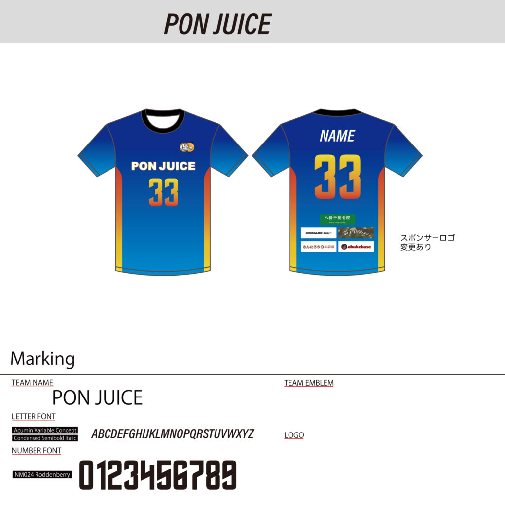 バレーボールユニフォームオーダー事例