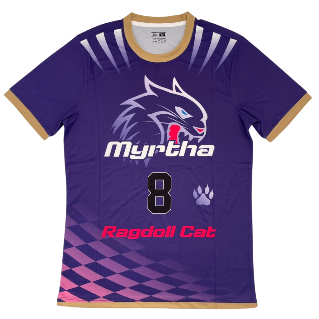 バレーボールユニフォームオーダー事例