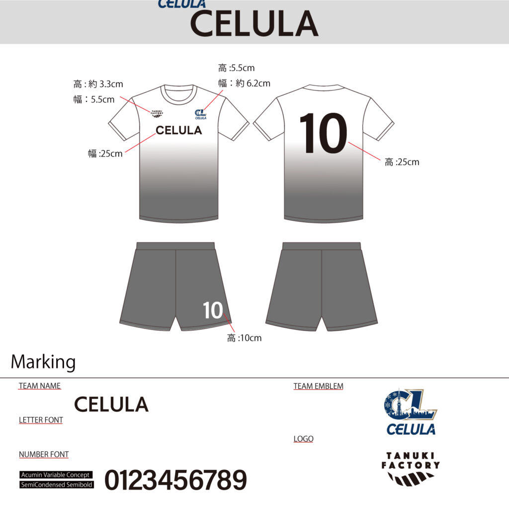 バレーボールユニフォームオーダー事例