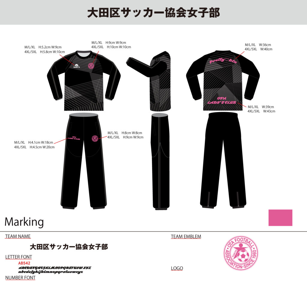 サッカーピステオーダー事例