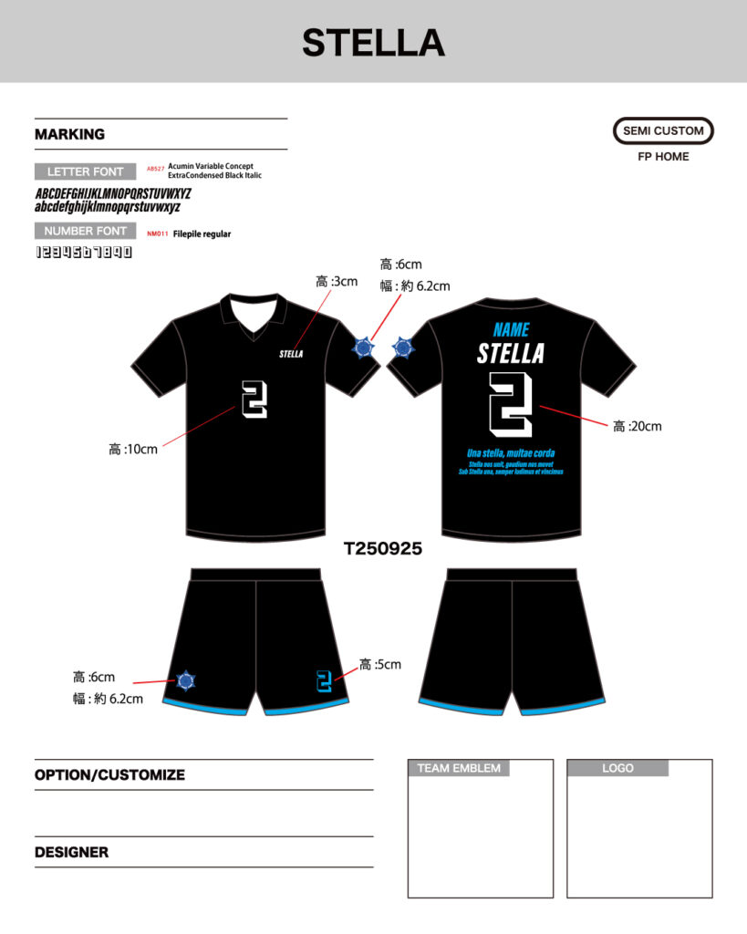 バレーボールユニフォームオーダー事例