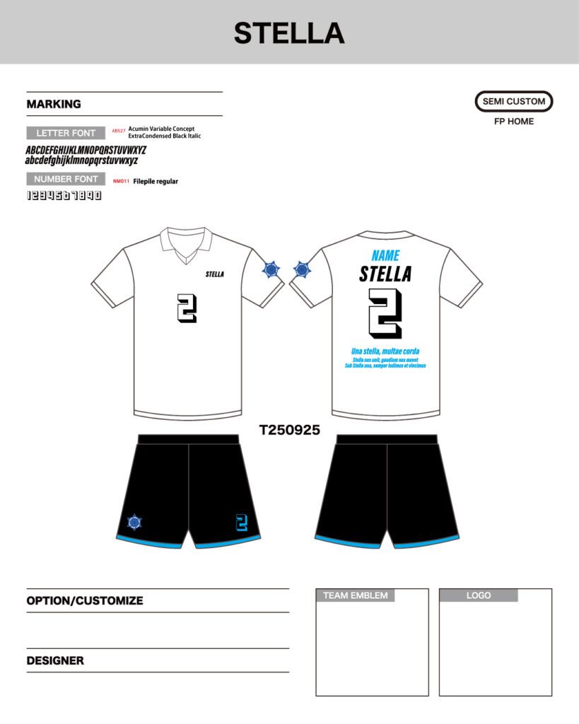 バレーボールユニフォームオーダー事例