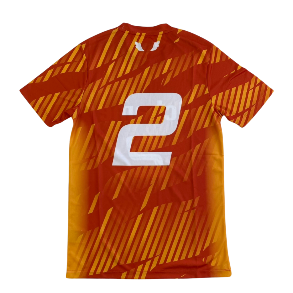 バレーボールユニフォームオーダー事例