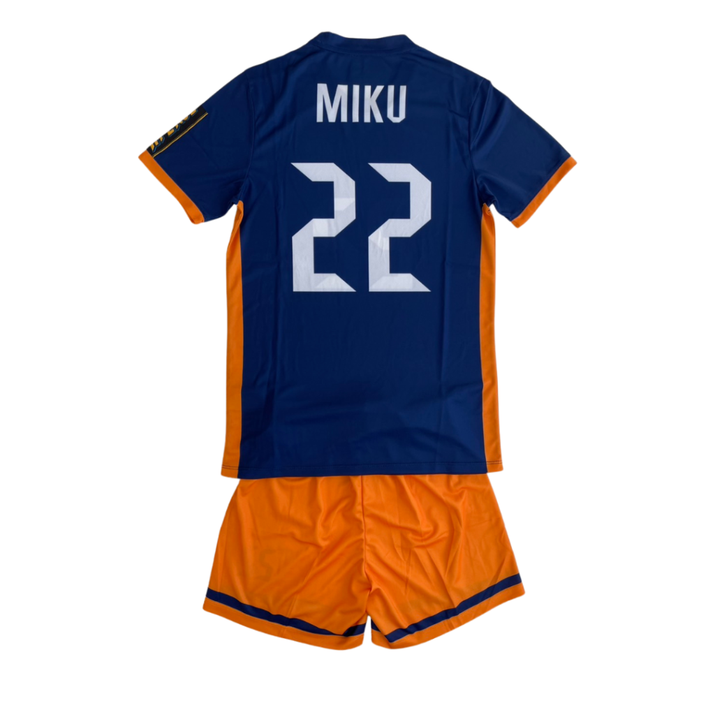 バレーボールユニフォームオーダー事例